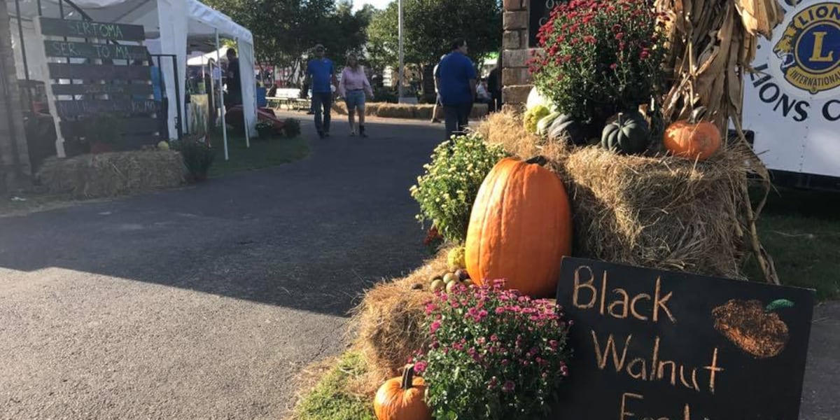 The annual Black Walnut Festival begins in Stockton, Mo. [Video]