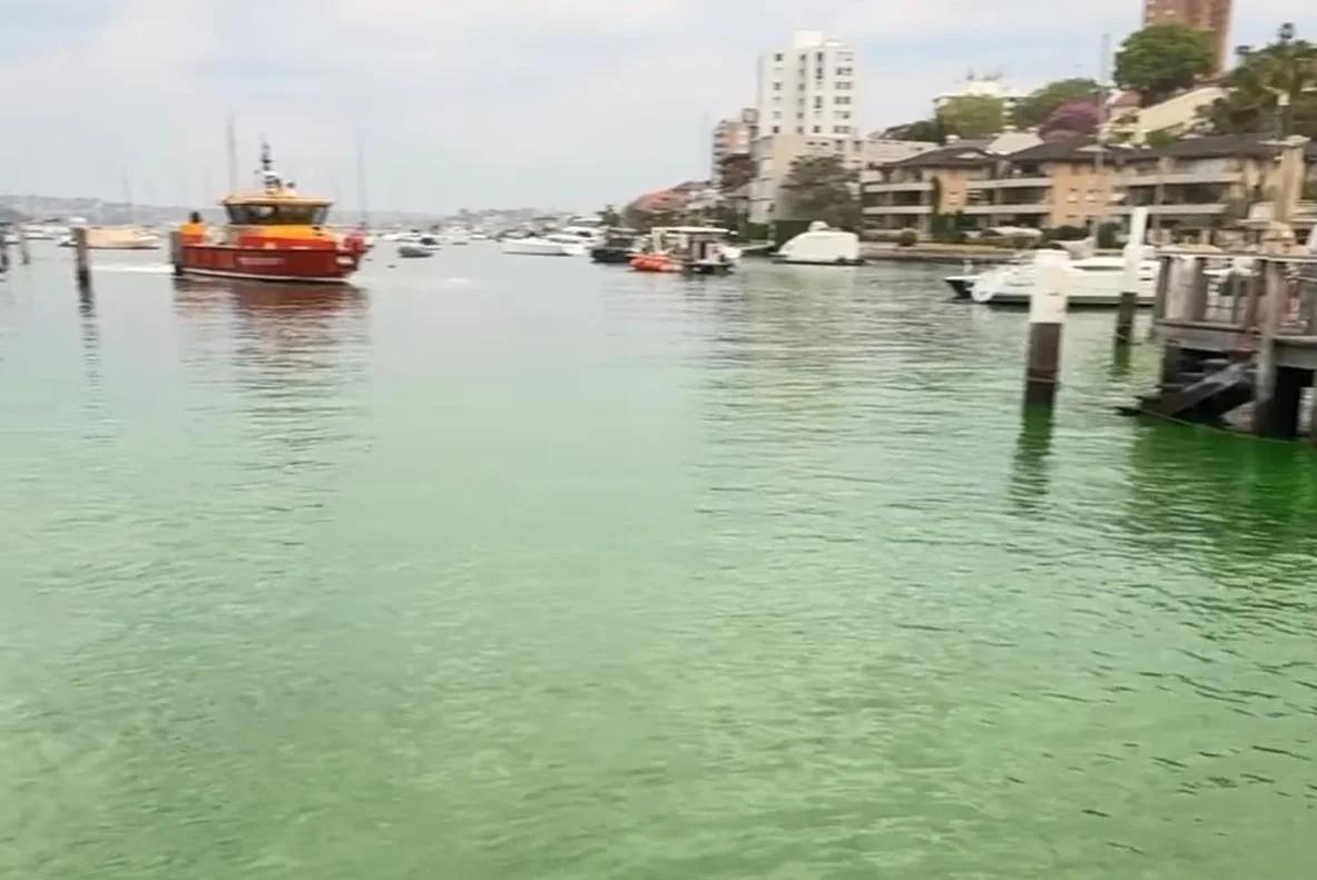 Watch: Mysterious green color in Sydney Harbor believed to be harmless dye [Video]