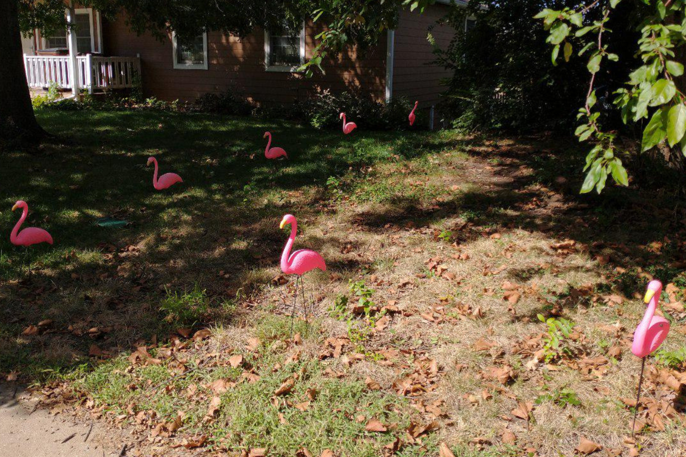 Praise for ‘Petty Revenge’ Couple Get on Neighbors Who Keep Reporting Them [Video]