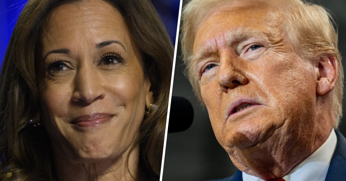 Harris, Trump neck-and-neck in every swing state in new polling [Video]