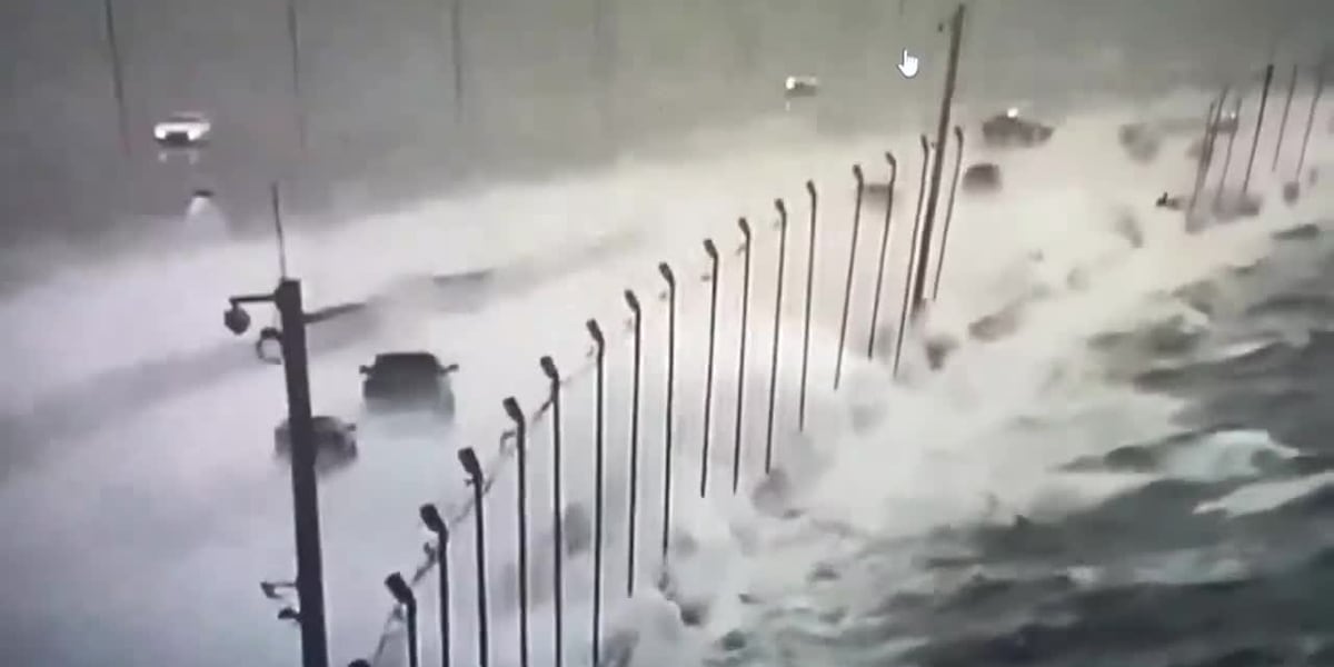 Sign crashes into car, killing one during Helene [Video]