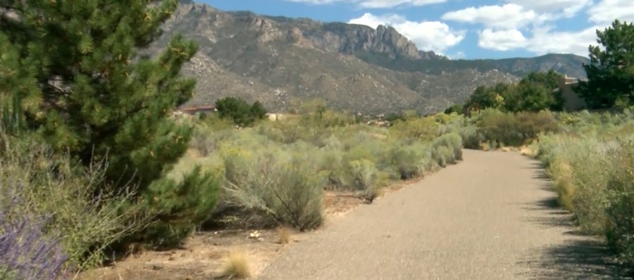 Watershed improvement plan raises concerns about arroyo landscape in Northeast Heights [Video]