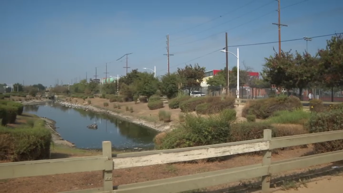 South LA community advocates for improvements at Wetlands Park  NBC Los Angeles [Video]