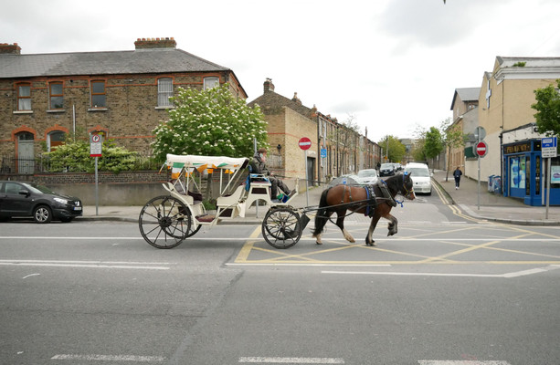 Is it time to put an end to carriage horses in Dublin? [Video]