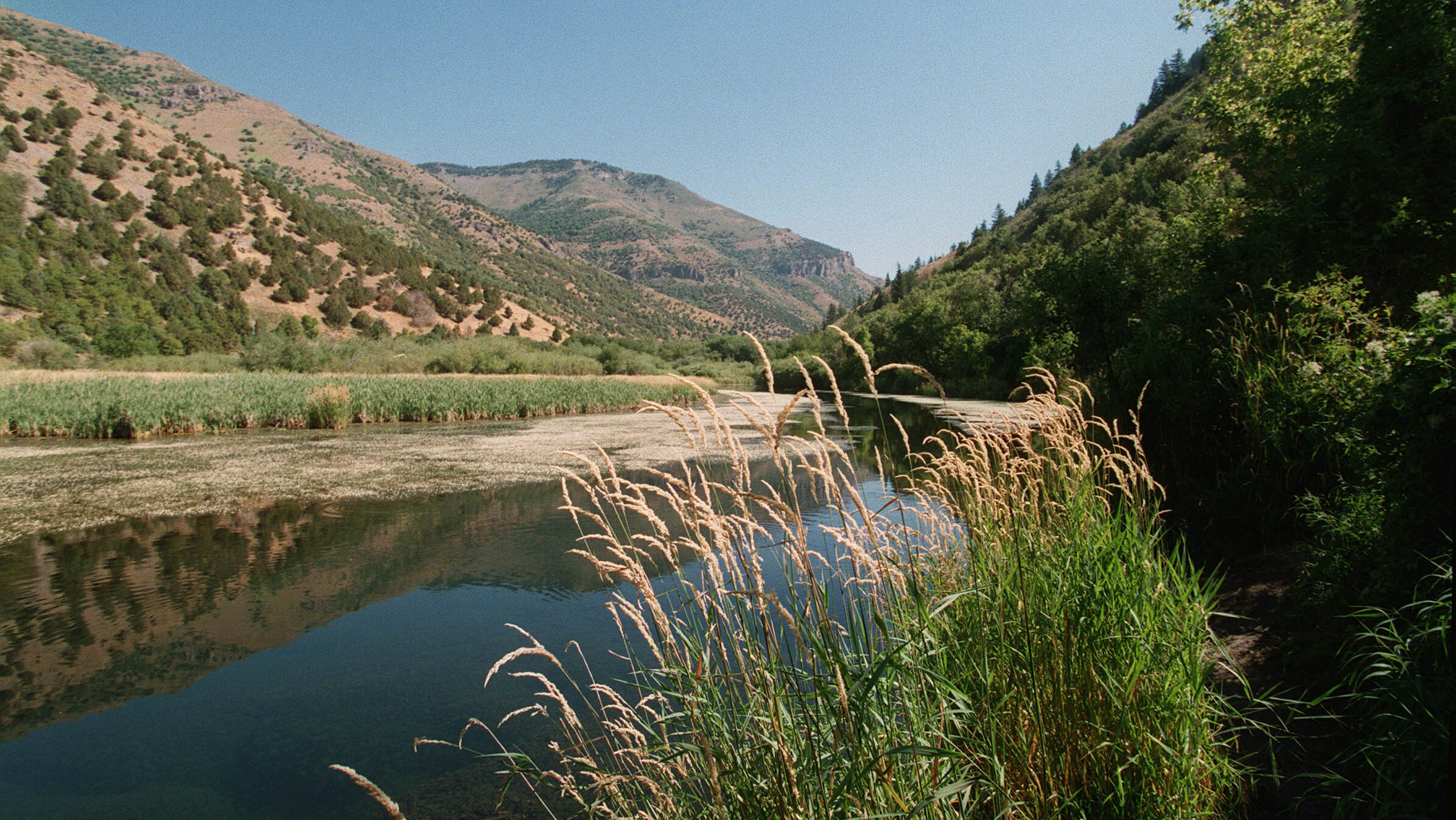 Body found in Logan Canyon determined to be a homicide, police investigate son of victim [Video]