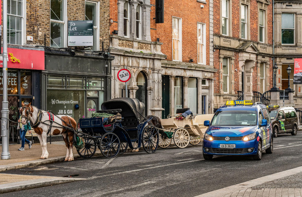 Do you think carriage horses in Dublin should be banned? [Video]