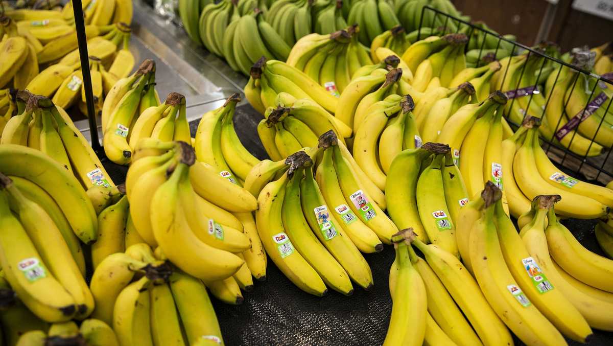 Expect shortages of bananas, booze, chocolate and cherries if there’s a long port strike [Video]