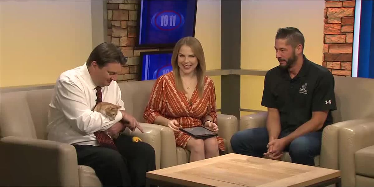 Capital Humane Society introduces us to Nigel [Video]