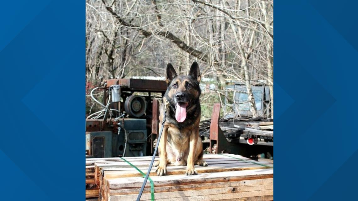 Tennessee K-9 found dead after going missing in flood [Video]