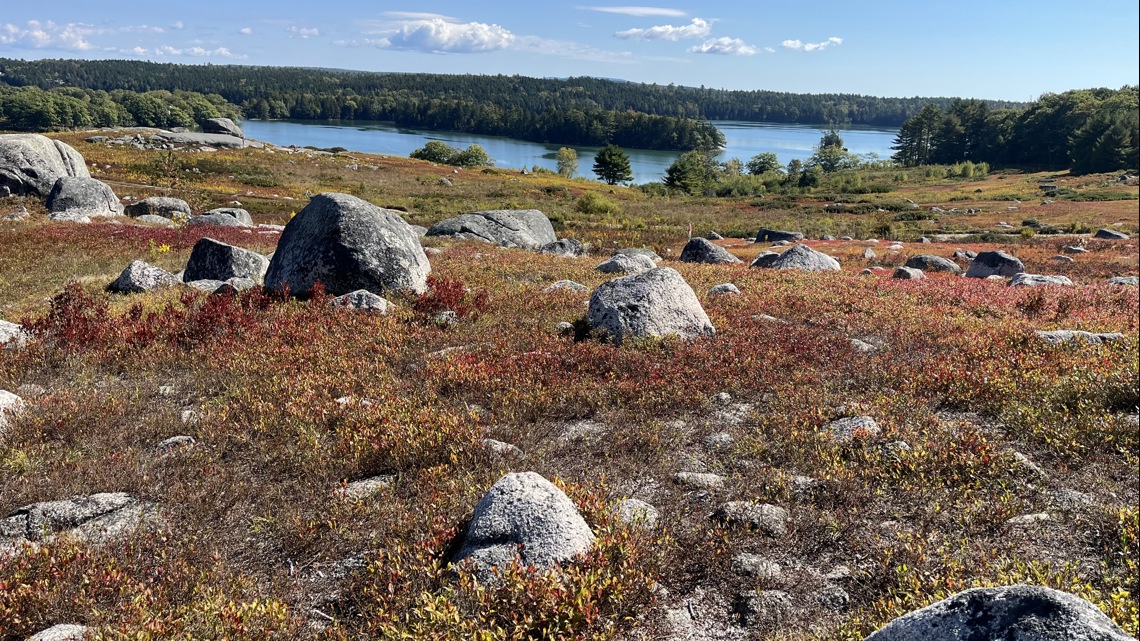 Plan could turn Blue Hill blueberry barren into housing lots [Video]