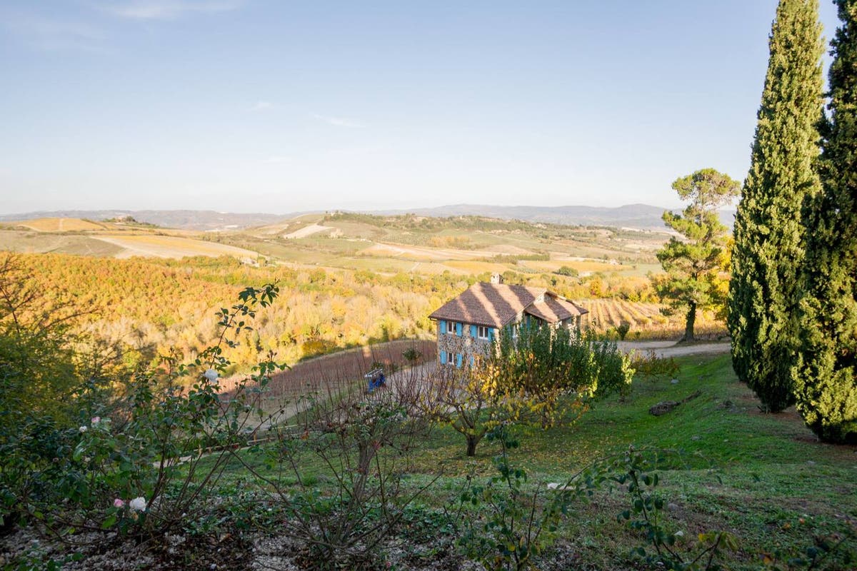 Best vineyard stays on Airbnb for wine enthusiasts, from France to New Zealand [Video]