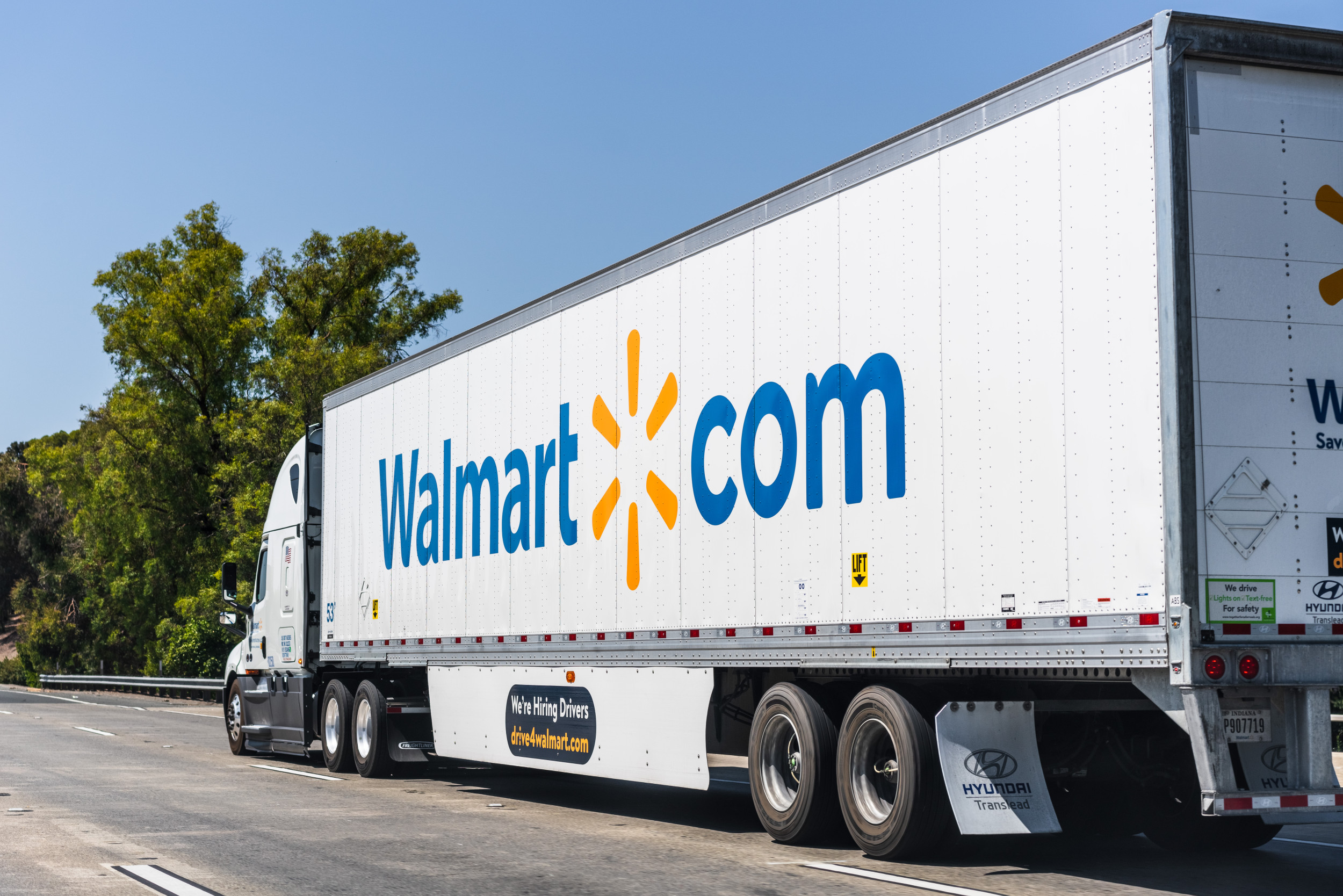 Couple Orders Boxes From Walmart, Unprepared With How They’re Delivered [Video]