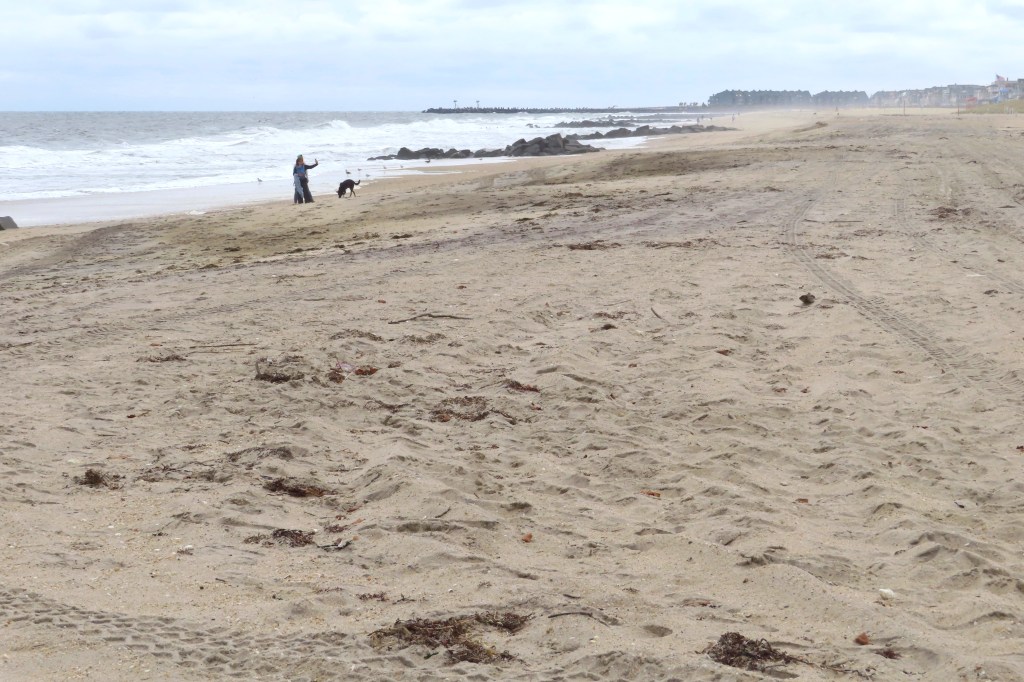 New Jersey offshore wind farm clears big federal hurdle amid environmental concerns [Video]