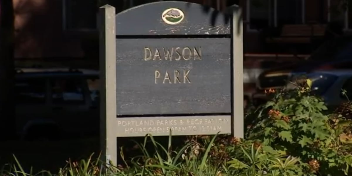 Albinas Dawson Park coming back to life through community and city efforts [Video]