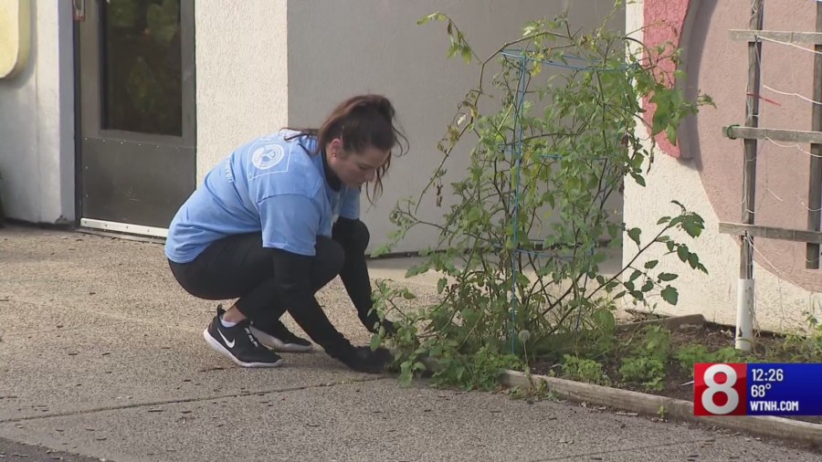 Local United Way kicks off annual Week of Caring [Video]