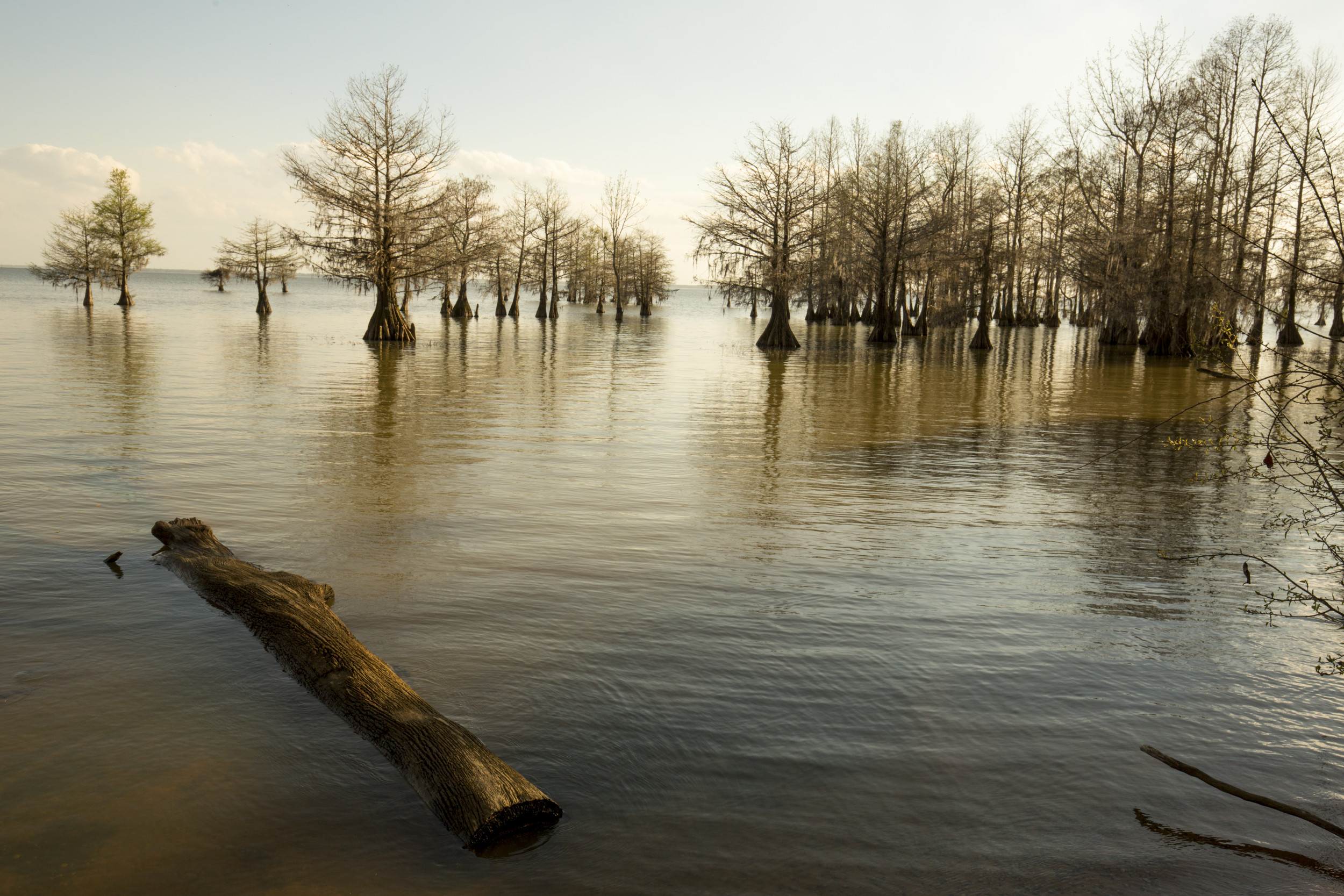 Water Levels Plunge as Lake Warning Issued in South Carolina [Video]