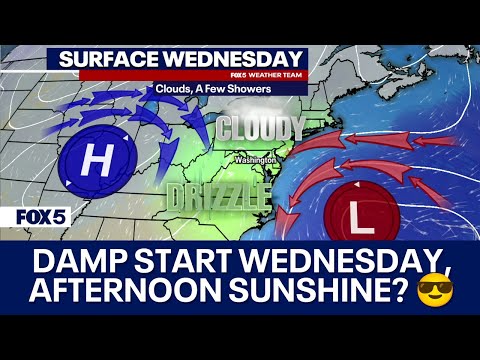 Damp start Wednesday in DC area with some sunshine expected by afternoon [Video]