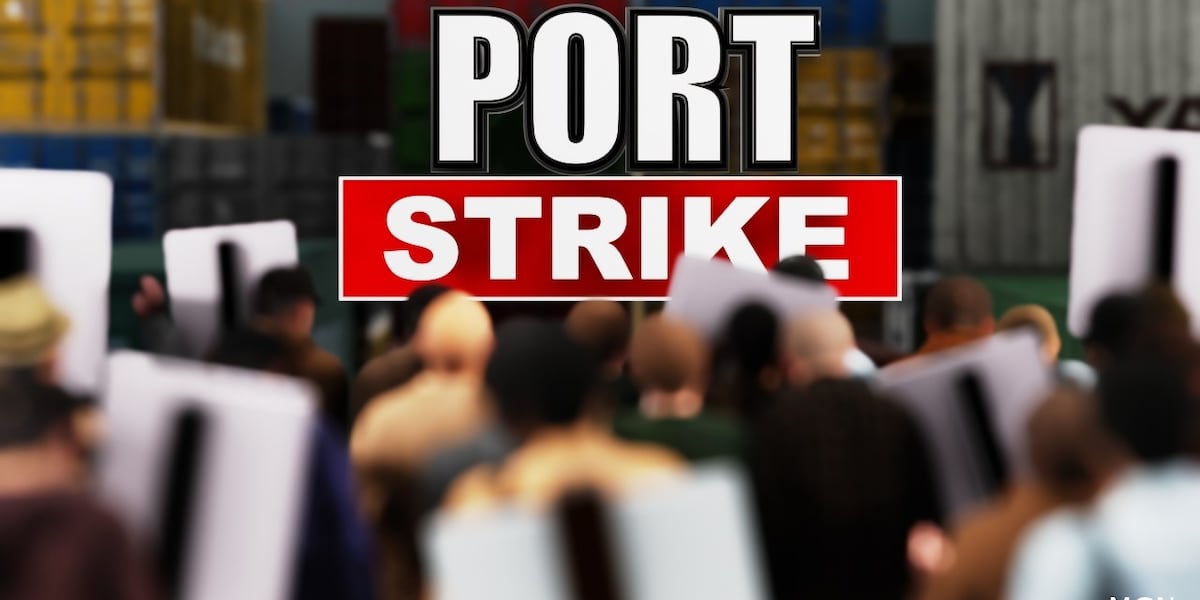 Evaluating the economic impact from US port strike if it persists [Video]