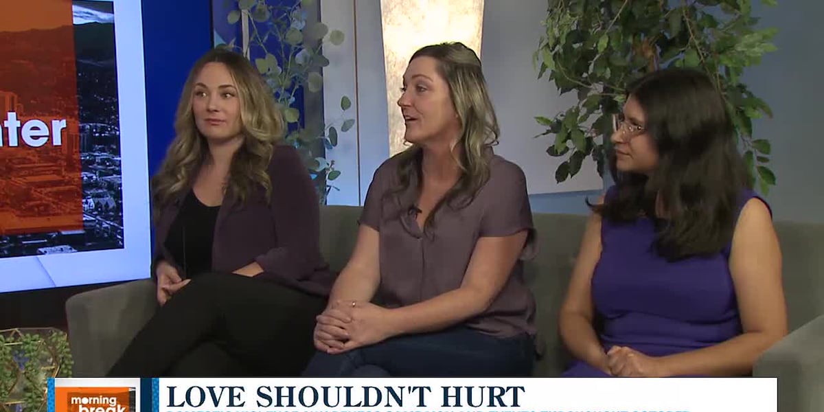 Local nonprofits come together for Love Shouldnt Hurt campaign for domestic violence awareness [Video]