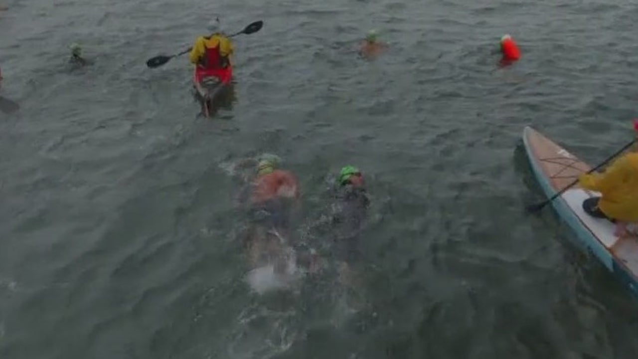 Alcatraz Swim for Sight returns this weekend [Video]