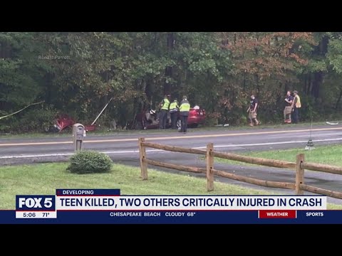 17 year old dead, 2 teens injured after a vehicle collided with light pole in Maryland [Video]