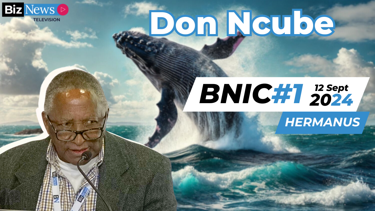 BNIC#1 Don Ncube:SA’s gas treasure, a game-changer for energy and the economy [Video]