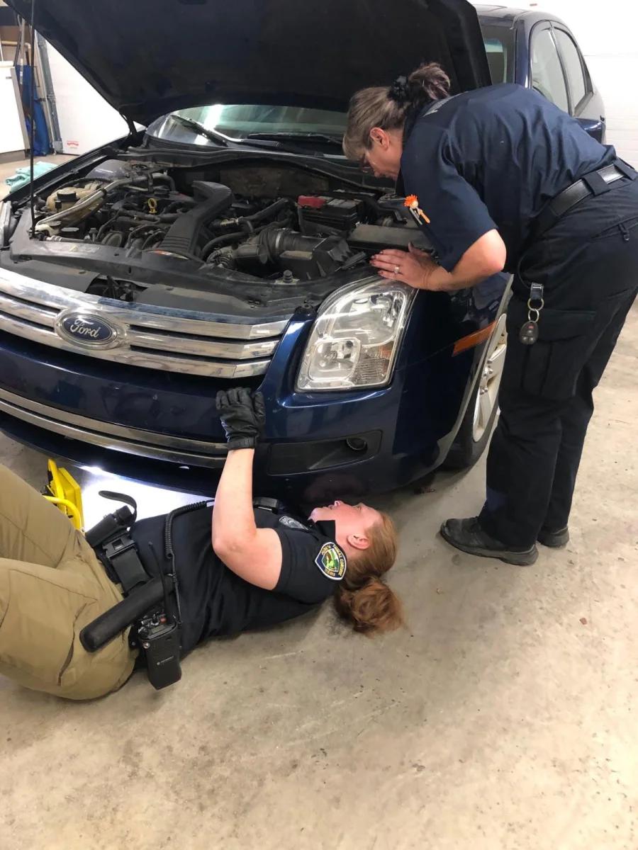 Kitten rescued from under hood of car in animal control parking lot [Video]