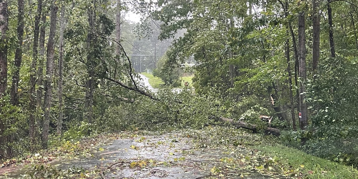 Greenville County officials, Governor provide updates on Helene recovery [Video]