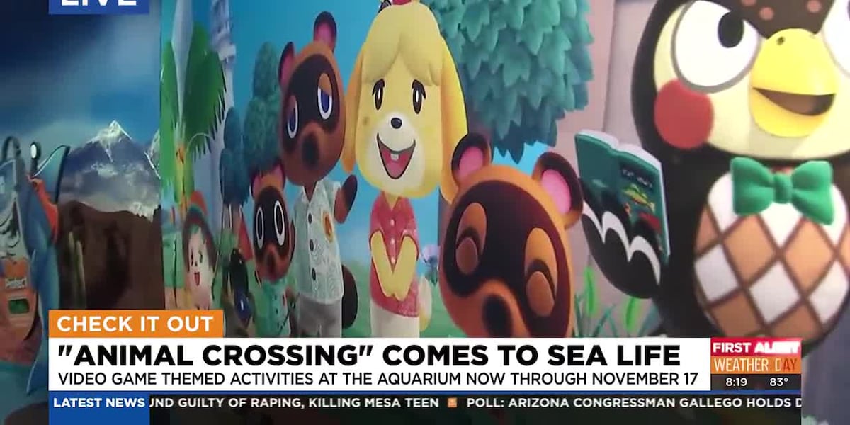 SeaLife Aquarium hosts Animal Crossing exhibit [Video]