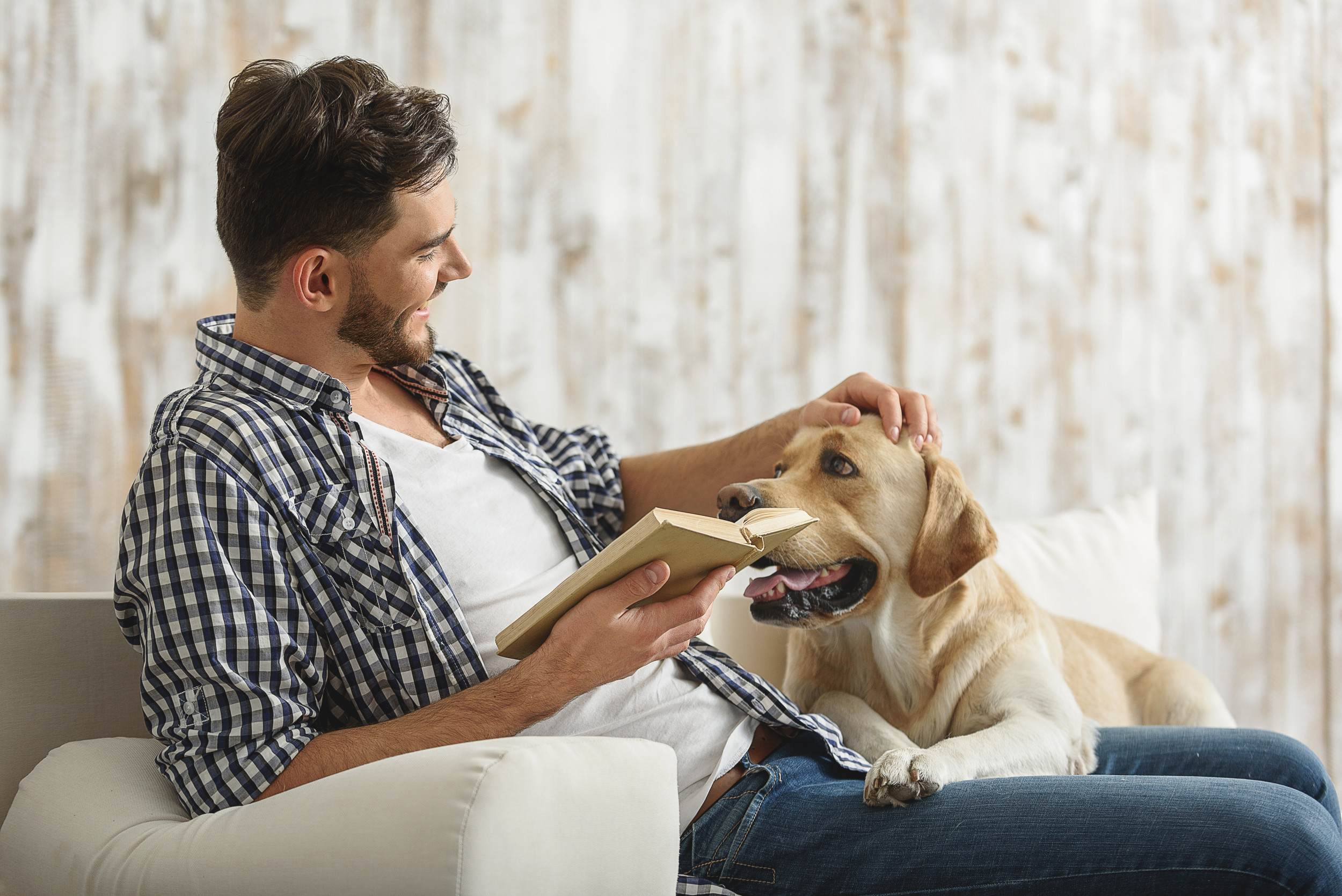 Man Reading Bedtime Story to Golden Retriever Melts Hearts [Video]