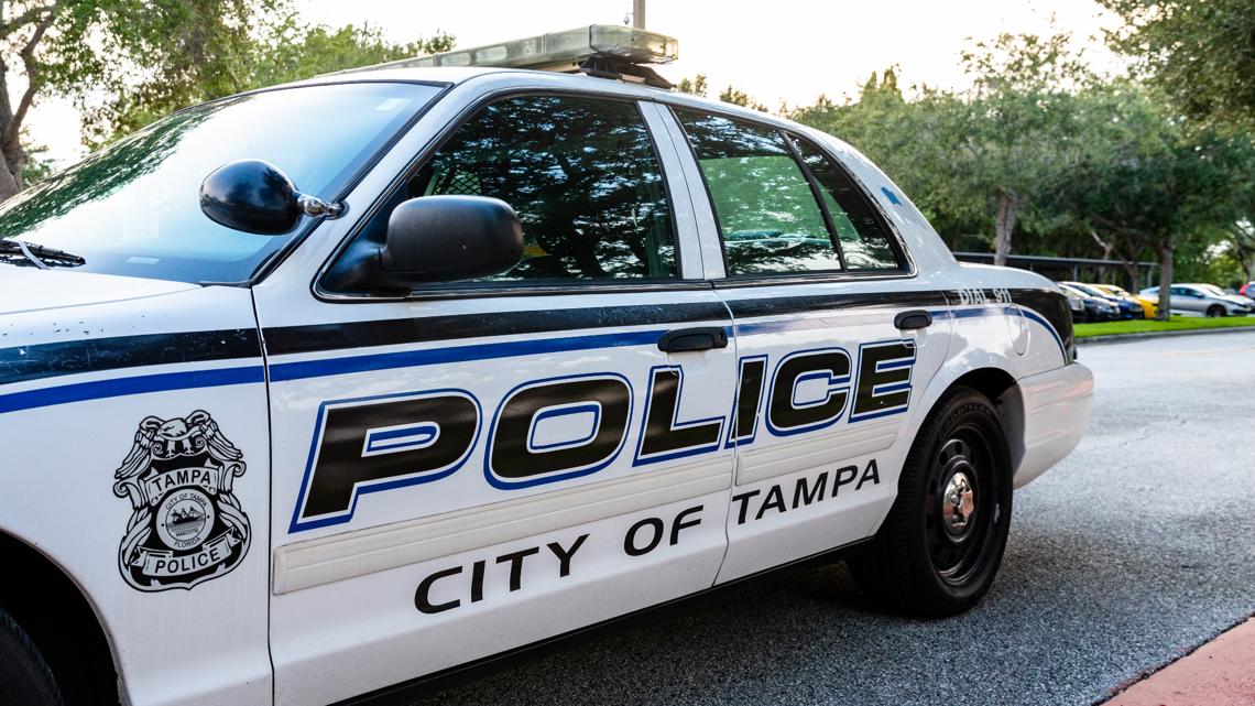 Tampa officials warn of harsher criminal penalties after Helene [Video]