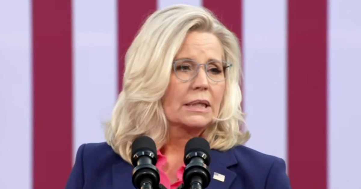 Rep. Liz Cheney rips Trump: I was a Republican before Donald Trump started spray tanning’ [Video]