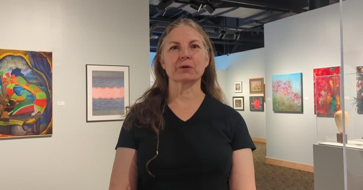 Art exhibits at Kenosha Public Museum [Video]