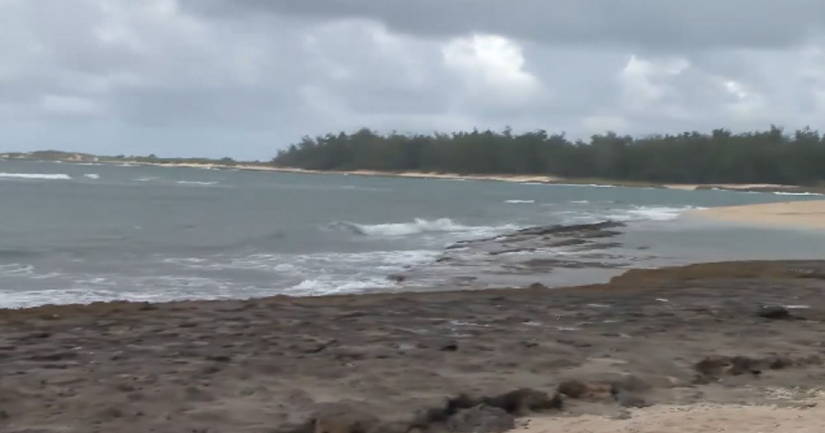 Development of luxury condo units on O’ahu’s north shore now on pause | News [Video]