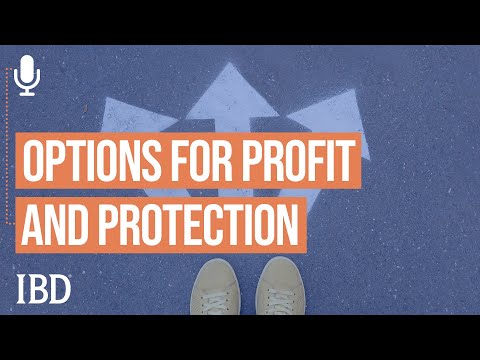 Najarian Explains How To Put On Options For Profit And Protection [Video]