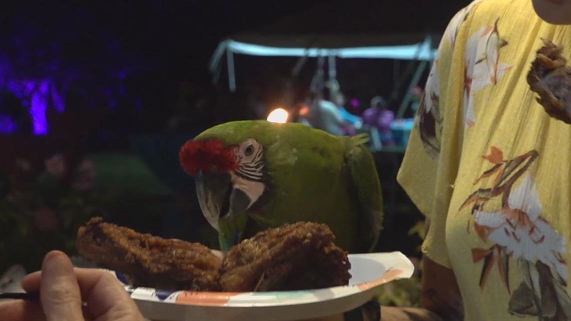 The ‘Moonlight Luau’ at the Botanical Gardens was a hit on Friday [Video]