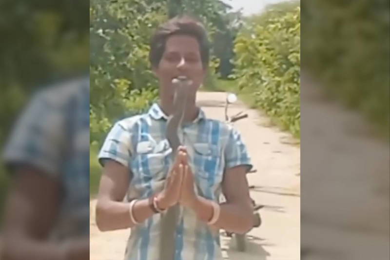 Man Puts Cobra in Mouth for Bizarre Social Media Stunt, Then Dies [Video]