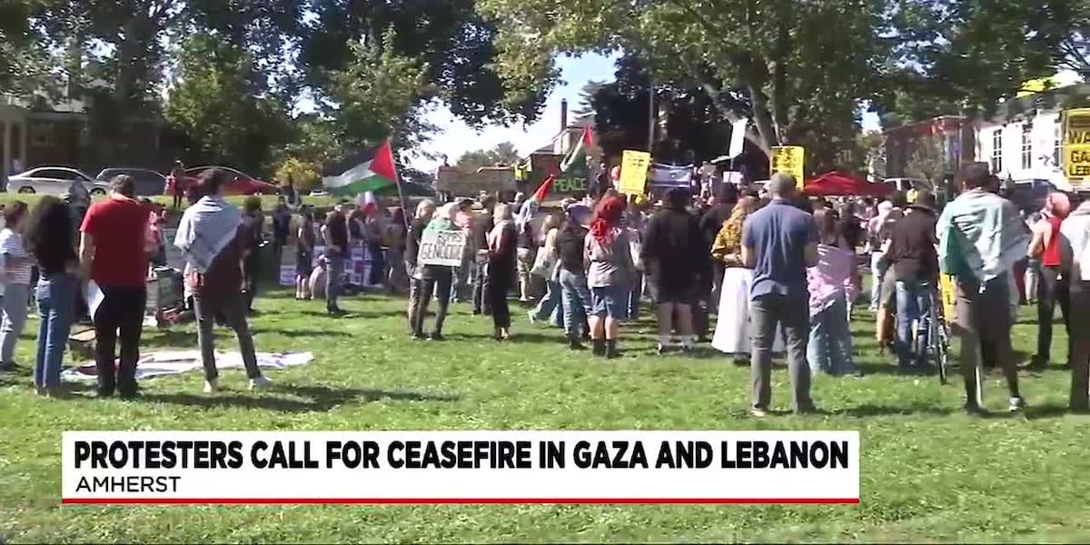 Rally held in Amherst to support ceasefire in Gaza and divestment from Israel [Video]