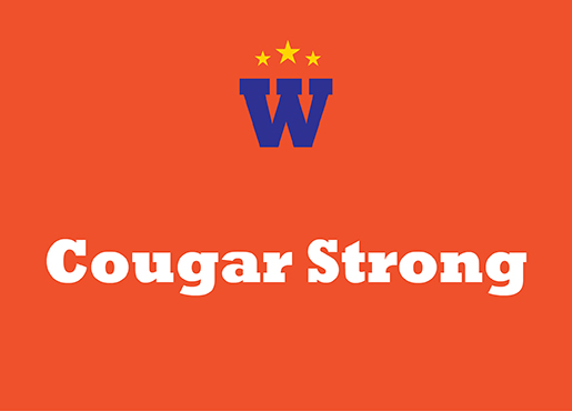 Cougar Strong: Inside Sylvania Southview Girls Lacrosse Team [Video]