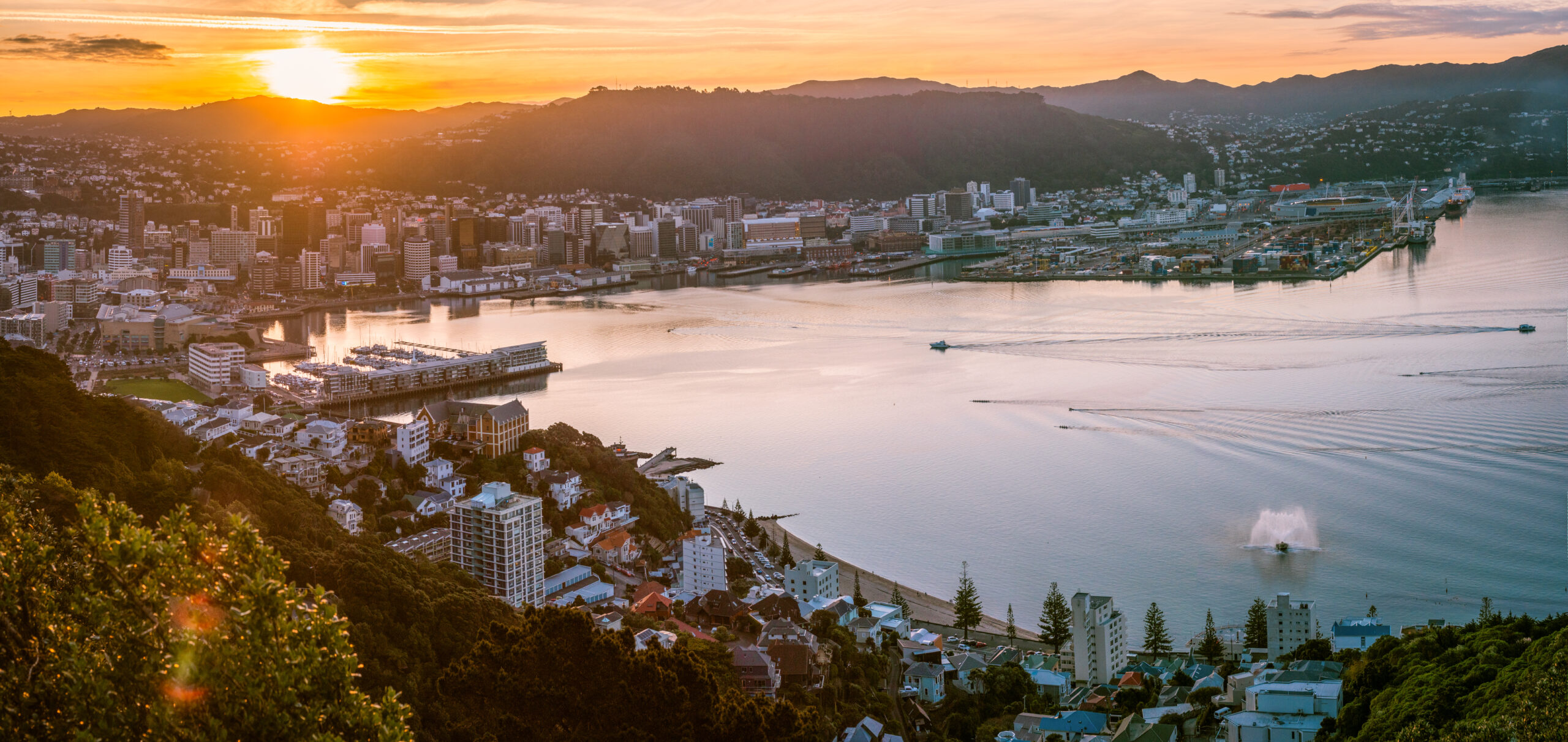 Green economy: connect with changemakers in Wellington, New Zealand [Video]