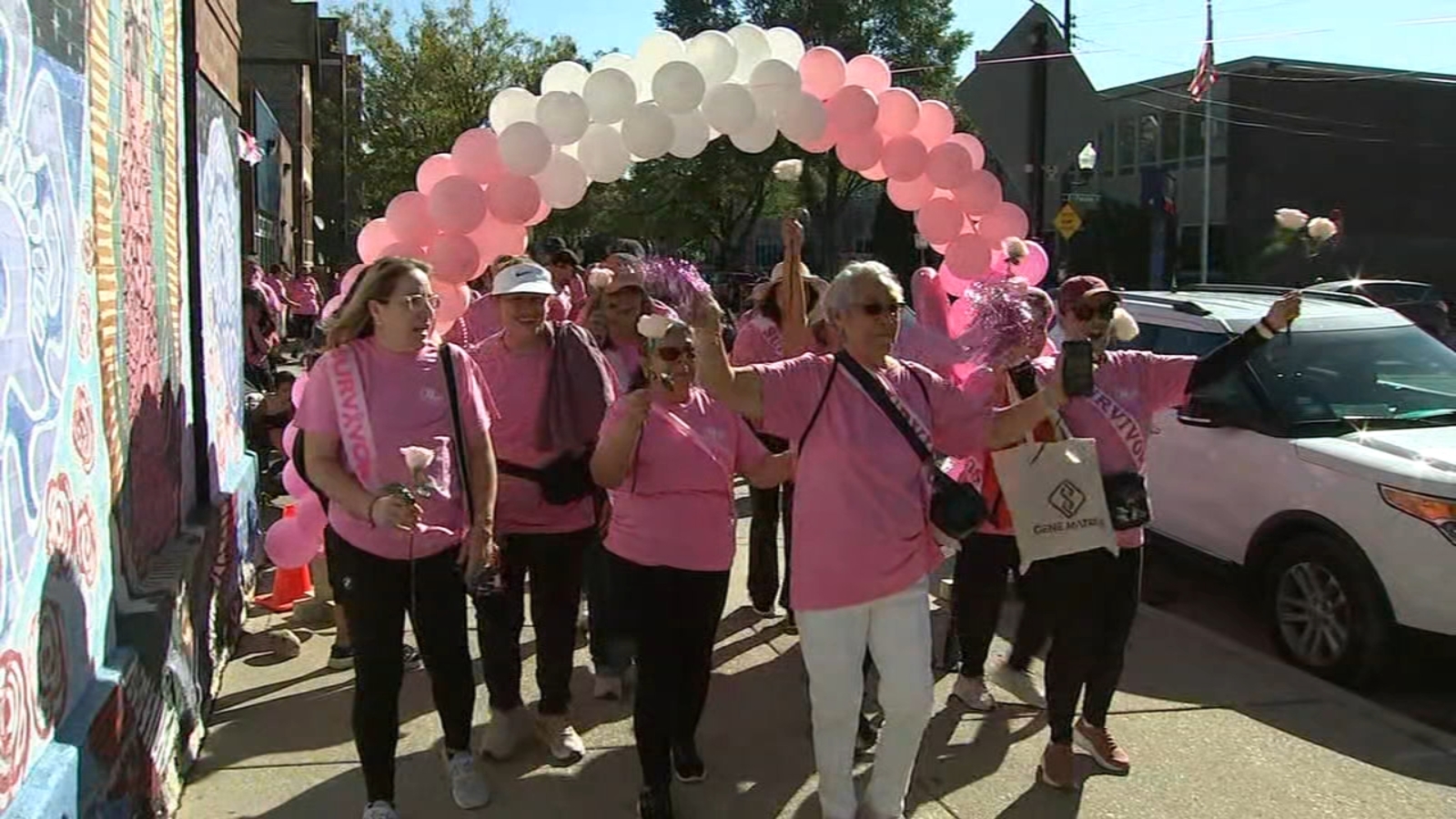 More than 100 people show out for Breast Cancer Walk-A-Thon at 12th and Paulina in Pilsen, Chicago [Video]