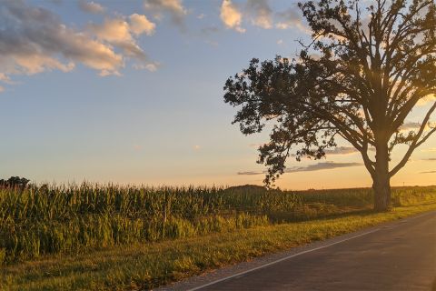 In Michigan U.S. Senate race, could farm backing break Democratic control? [Video]