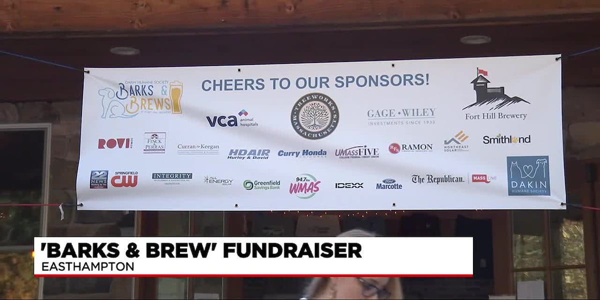 Dakin Humane Society hosts Barks and Brews fundraiser [Video]