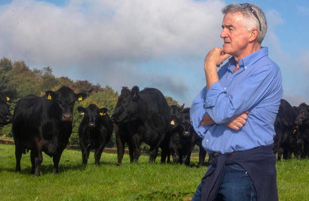 Michael O’Leary has installed one of the countrys largest solar systems on his Westmeath farm [Video]