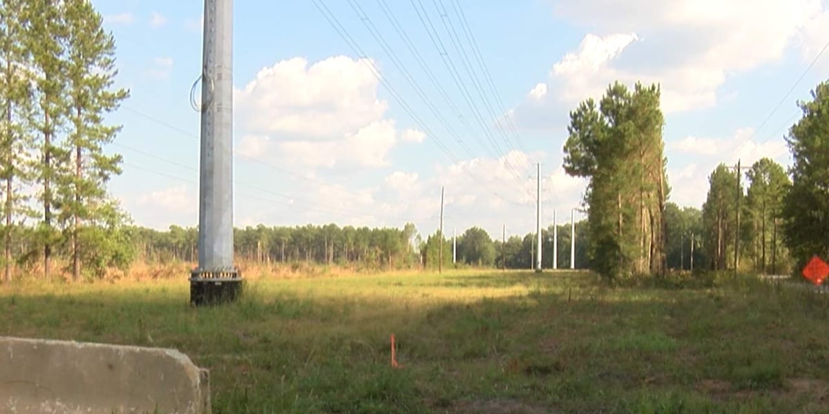 Dorchester County Council rezones parcel of land for new housing development [Video]