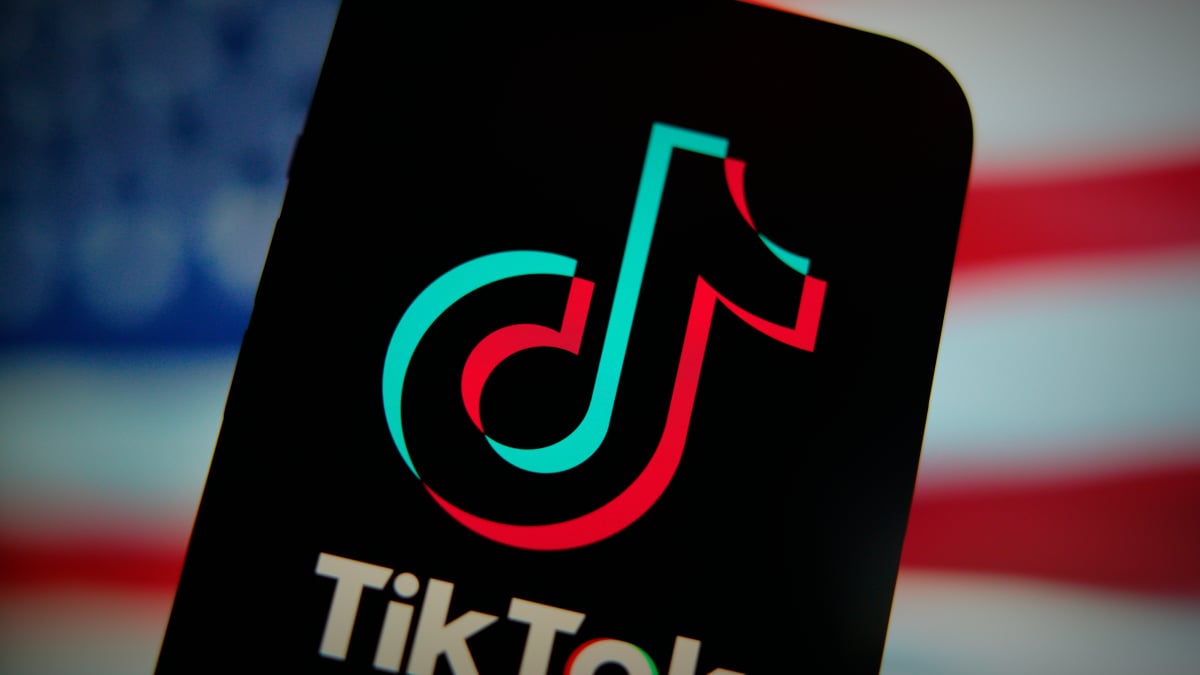 The ‘typical adult’ follows no politicians or journalists on TikTok, survey finds [Video]