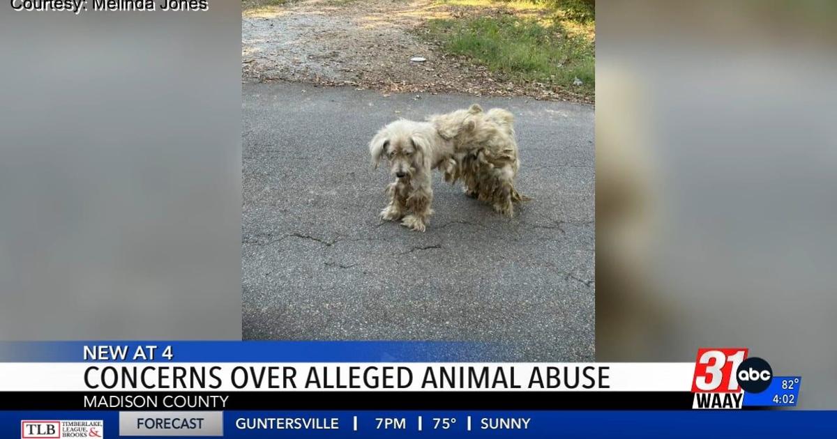 New Market resident calls out Madison County Animal Control for neglect, change expected soon | News [Video]