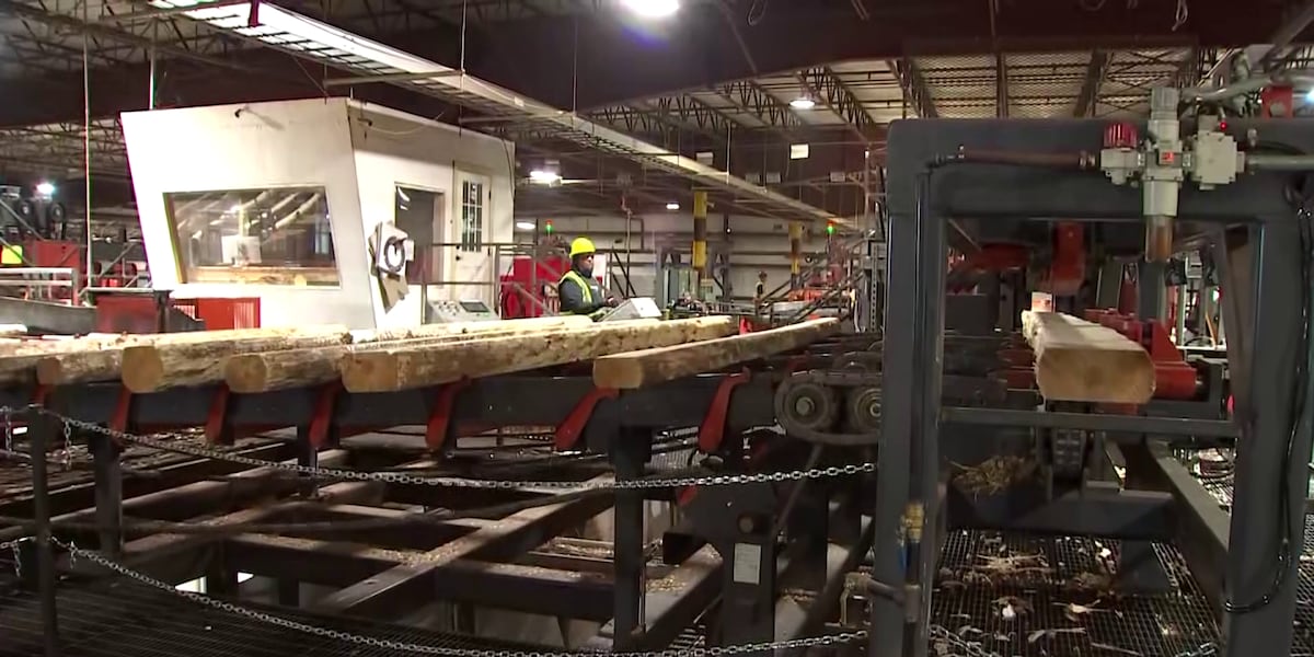 New sawmill opens outside of Flagstaff to help prevent wildfires [Video]