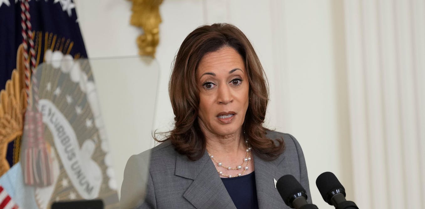 Kamala Harris is suddenly embracing the media spotlight  but is it working? [Video]