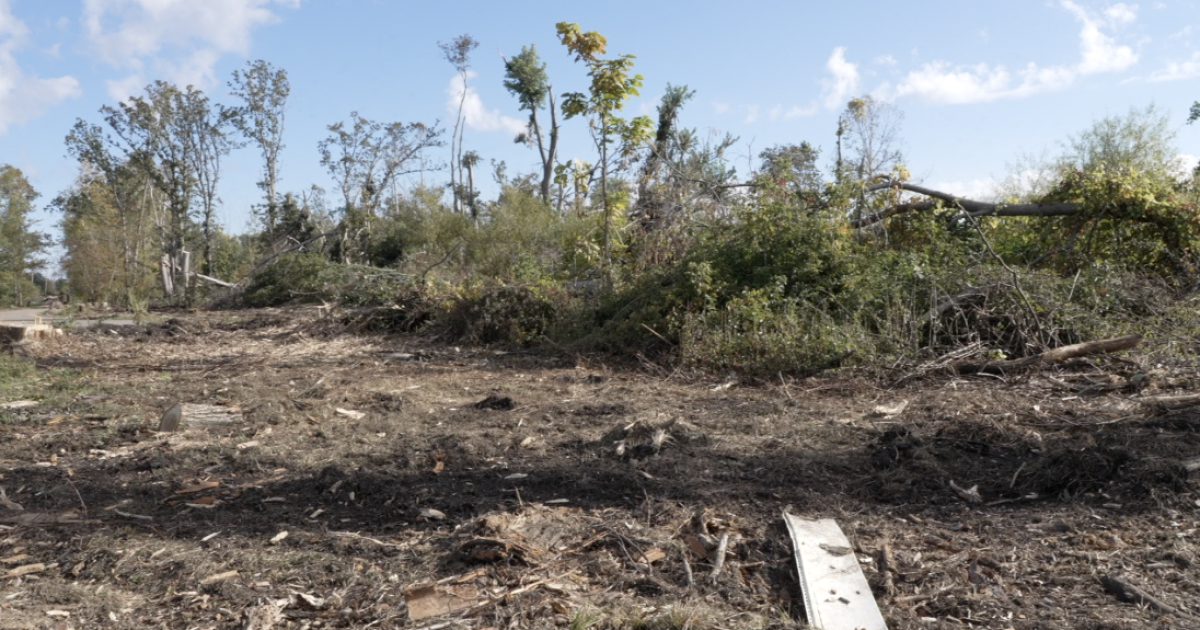 City of Portage plans to plant trees at Celery Flats after tornado damage [Video]